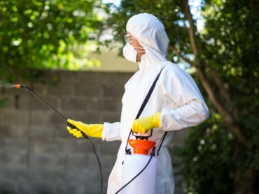 side-view-worker-using-pesticide-back-yard